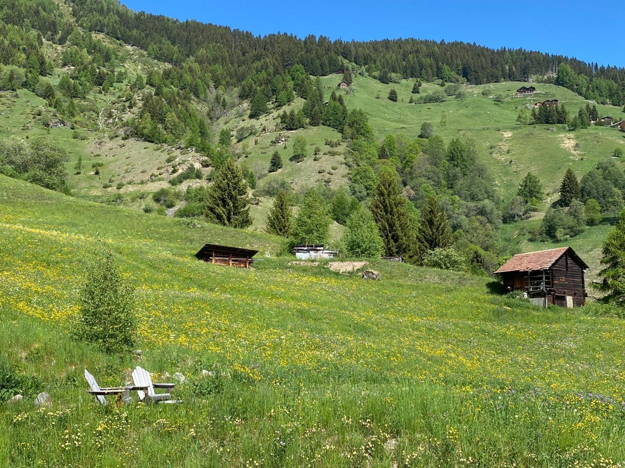 La Cle Des Champs Bed & Breakfast Hérémence Bagian luar foto